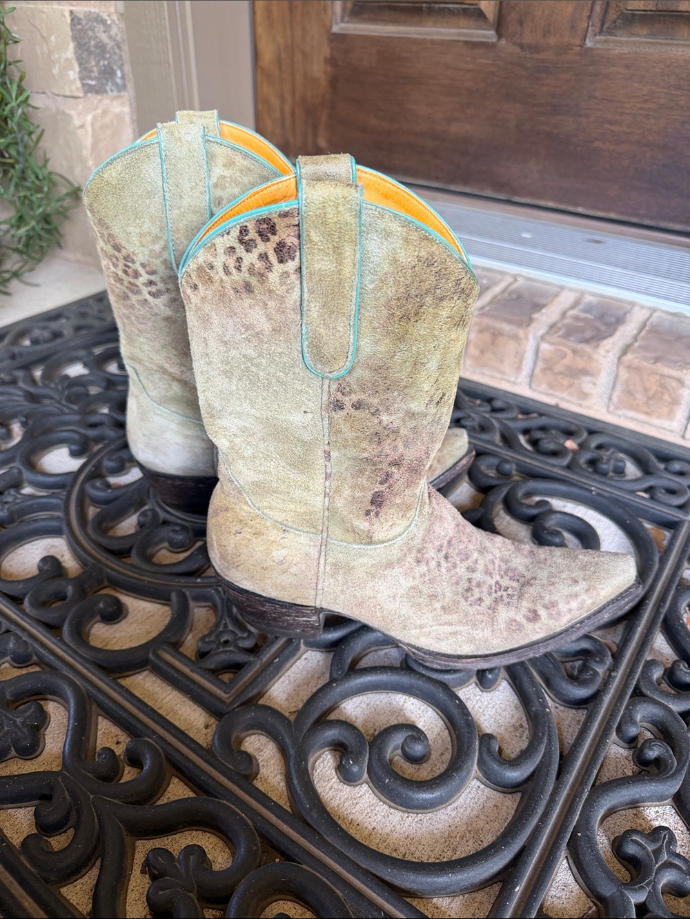 Old Gringo Leopardito Print Cowboy Boots with Turquoise Trim - Picture 5 of 9